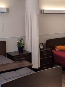 A shared hospital or care facility room with two beds separated by a curtain, a nightstand with a potted plant and framed photo, and a plush toy on one bed. The lighting is soft and the decor is simple.